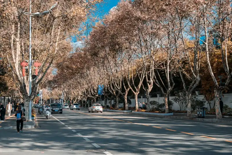 2025年办公用纸采购趋势：重庆企业如何选型打印纸与复印纸